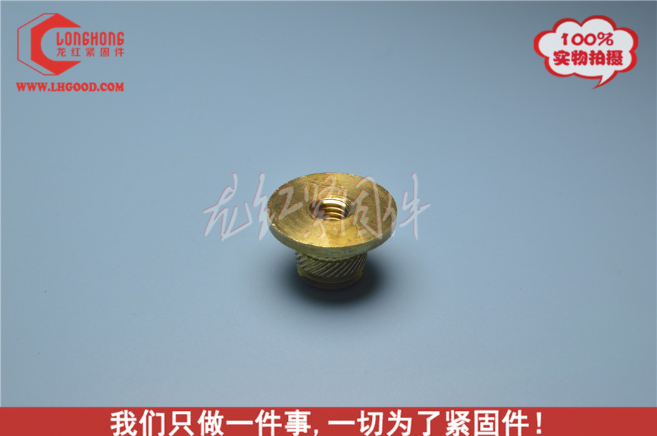 深圳6030H系列熱熔螺母.JPG