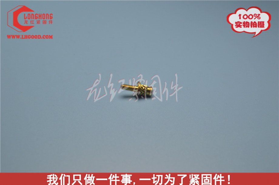 SPHS系列熱熔螺母.JPG