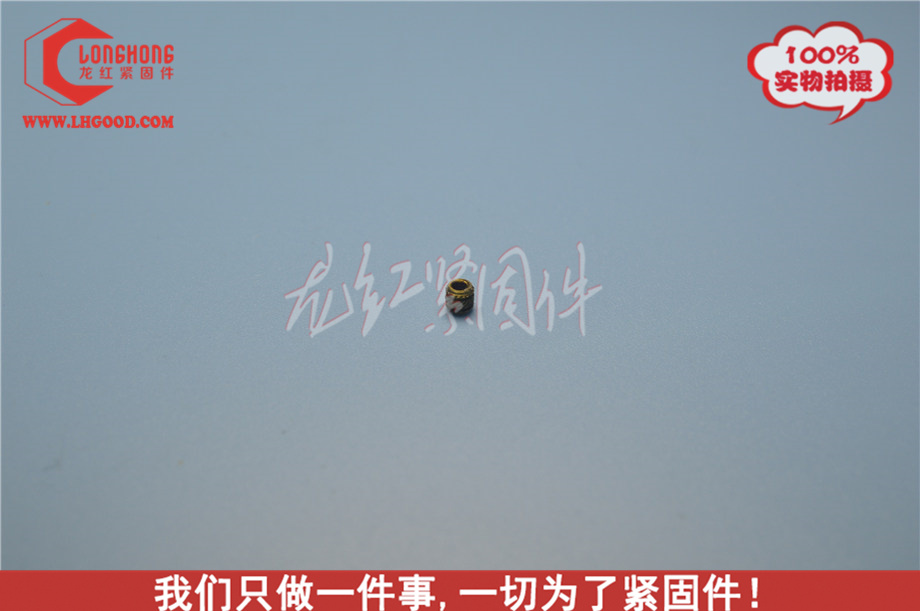 MINI-TECH系列熱熔螺母(mtec系列熱熔螺母).JPG