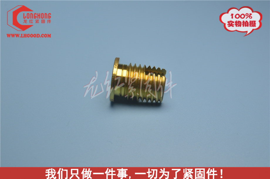 深圳熱熔螺母,SCREW-SERT.JPG