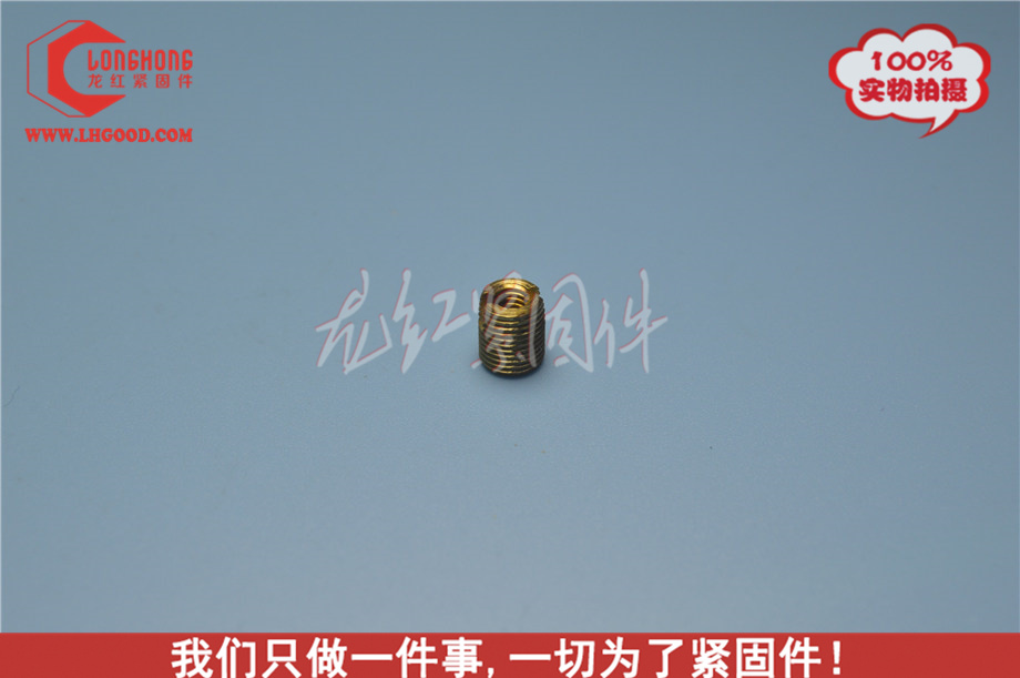 深圳SCREW-SERT系列熱熔螺母（sct系列熱熔螺母）.JPG