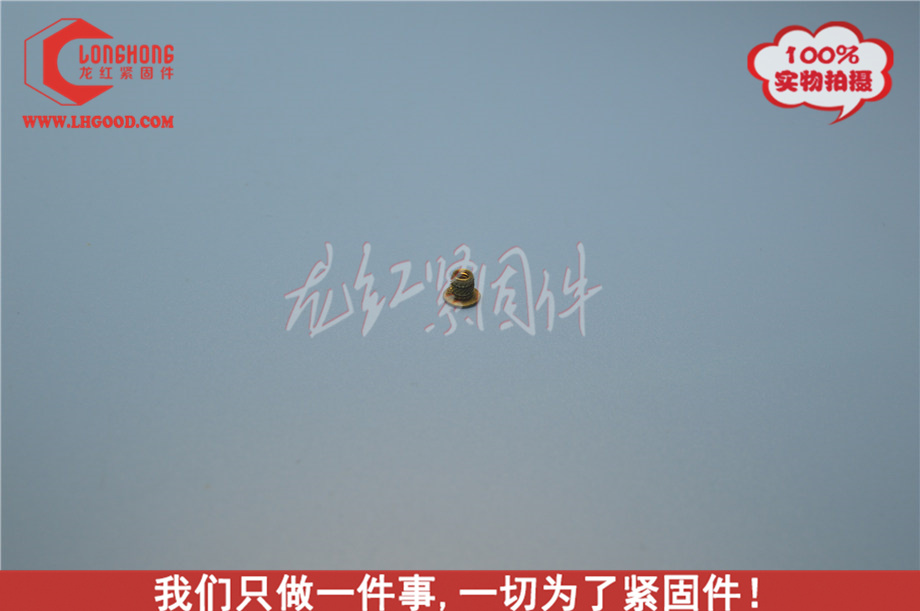 MINI-TECH系列熱熔螺母(Hmtec系列熱熔螺母).JPG