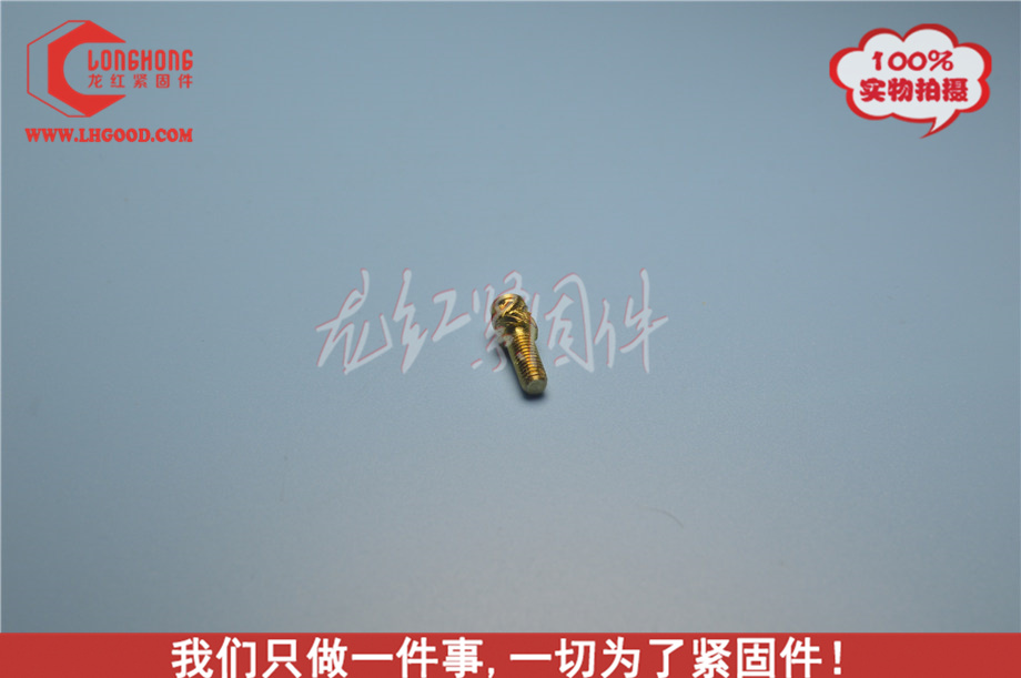 東莞進口SLTS熱熔螺母,slTS熱熔螺母,非標SLTS熱熔螺母.JPG
