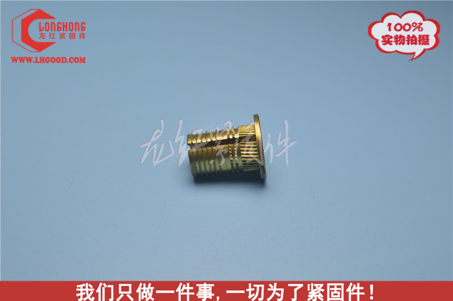 東莞深圳 PLK系列熱熔螺母.JPG