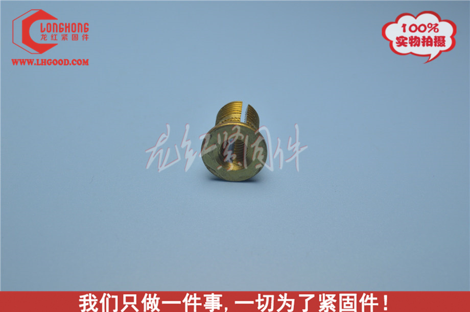 非標深圳 PLK系列熱熔螺母.JPG