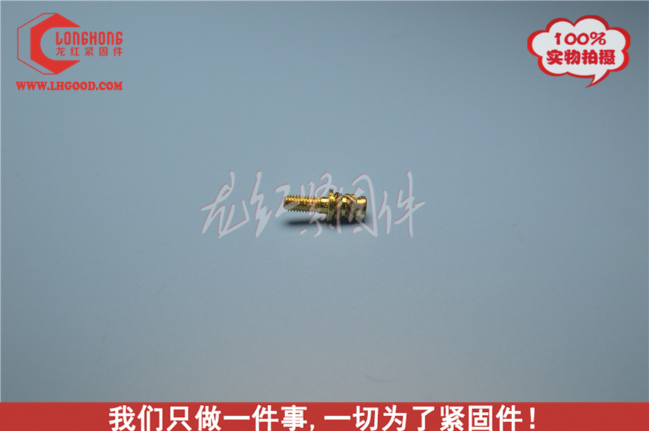 深圳進口SLHS熱熔螺母,sHSl熱熔螺母,非標SLHS熱熔螺母.JPG