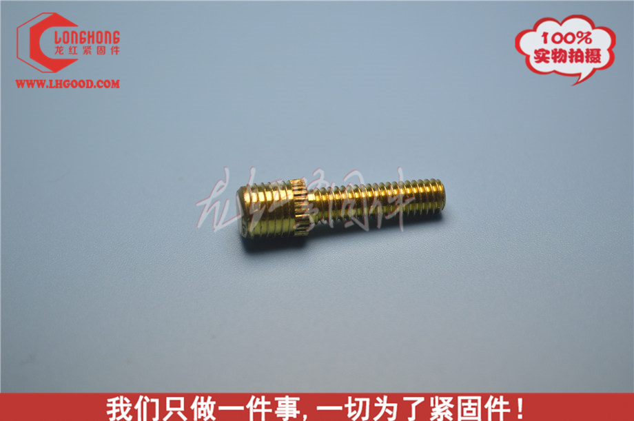 深圳FLTS系列熱熔螺母).JPG