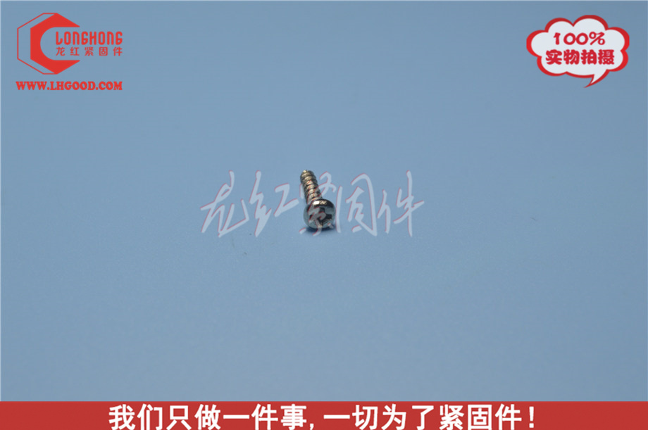 非標定制十字盤頭尖尾自攻螺絲（SUS304）.jpg