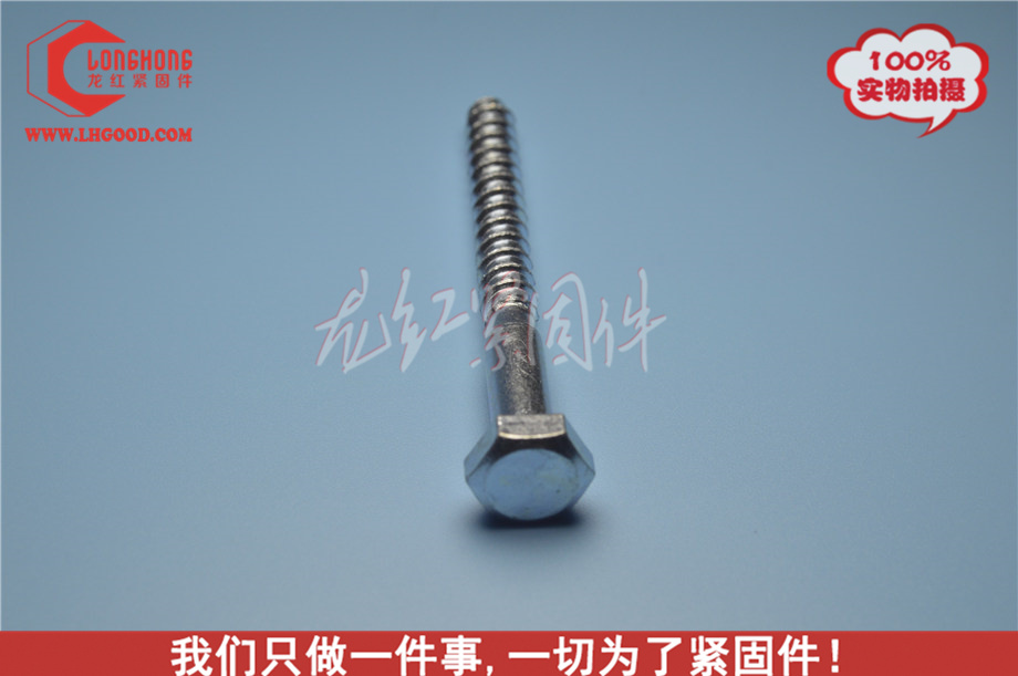 外六角木螺釘GB102.JPG