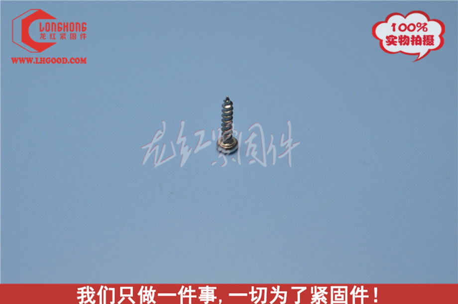 深圳十字盤頭尖尾自攻螺絲（SUS304）.jpg