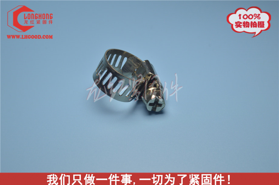 喉箍-緊固件,深圳DIN3017不銹鋼喉箍.JPG