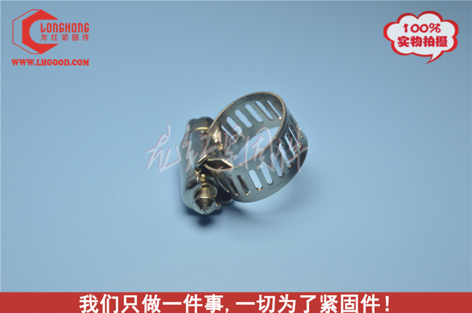 DIN3017不銹鋼喉箍.JPG